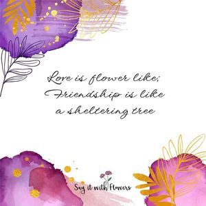 Image post by @sayitwithflowerspk on Facebook
