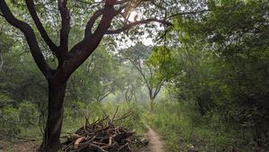 Image post by @anishyohankuruvilla on Instagram