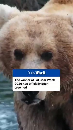 Image post by @dailymail on Instagram