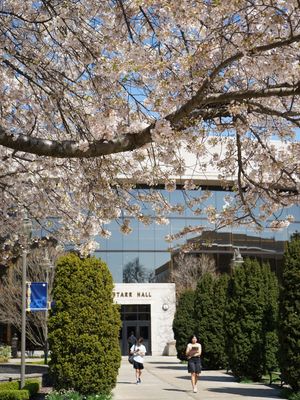 Image post by @hofstrau on Instagram