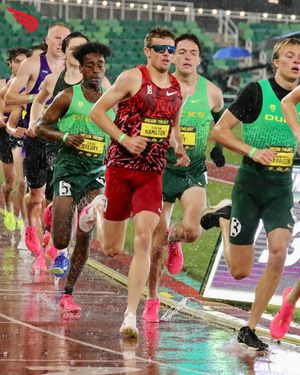 Image post by @dyestat on Instagram