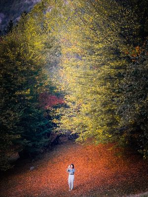 Image post by @artun_yapim on Instagram
