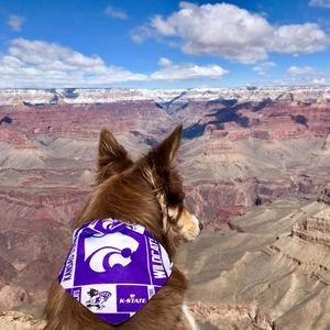 Image post by @kansasstateuniversity on Instagram