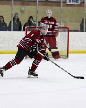 Image post by @arcadia_knights on Instagram