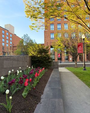 Image post by @fisherosu on Instagram