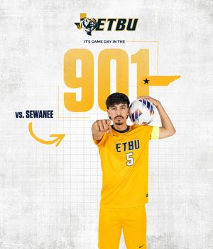 Image post by @goetbutigers on Instagram