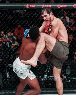 Image post by @bellatormma on Instagram