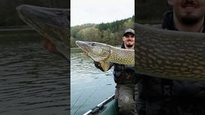 Video post by @jonasederfishing on YouTube