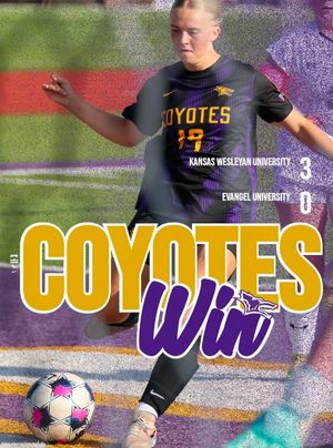 Image post by @kwucoyotes on Instagram