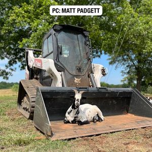Image post by @bobcatcompany on Instagram
