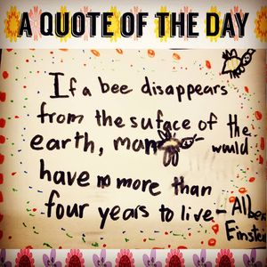 Image post by @audrey4care on Instagram
