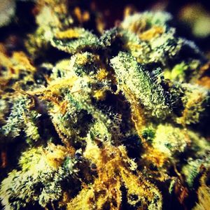 Image post by @gabetiano on Instagram