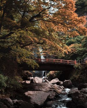 Image post by @nainoalanger on Instagram