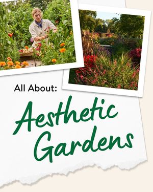 Image post by @burpeegardening on Instagram