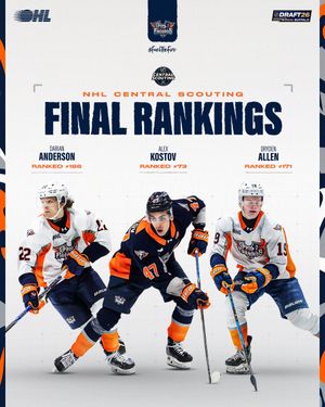 Image post by @flintfirebirds on Instagram