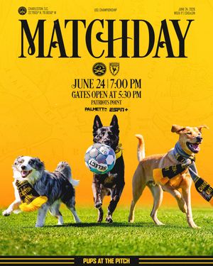Image post by @charlestonbattery on Instagram