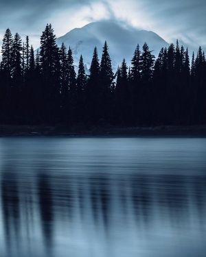 Image post by @shauns_shots on Instagram