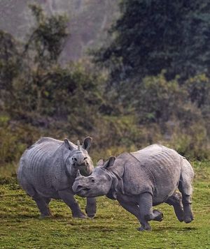Image post by @bbcearth on Instagram