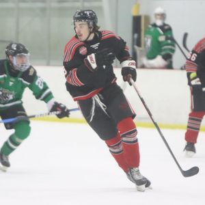 Image post by @usphlhockey on Instagram