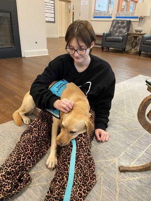 Image post by @canineorg on Instagram