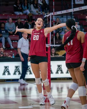 Image post by @libbiekline.photography on Instagram