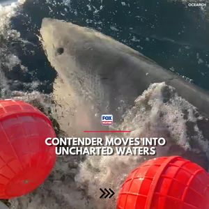 Image post by @foxweather on Instagram