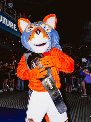 Image post by @houstondynamo on Instagram