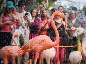 Image post by @denverzoo on Instagram