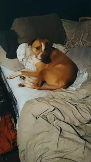 Video post by @alyshiafaith on Instagram