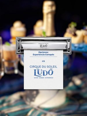 Image post by @ludo.cirquedusoleil on Instagram