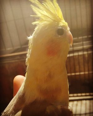 Image post by @loorenasilva23 on Instagram
