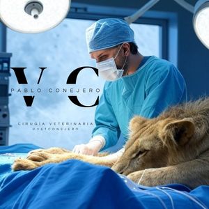 Image post by @vetconejero on Instagram
