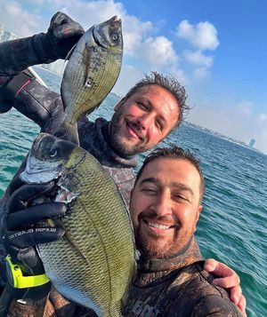 Image post by @erdo_bey_spearfishing on Instagram
