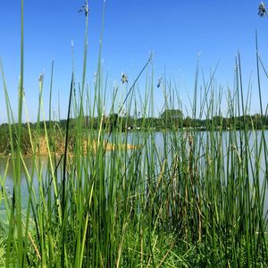 Image post by @txextension on Instagram