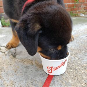 Image post by @friendlys on Instagram