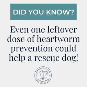 Image post by @northmeckanimalrescue on Instagram