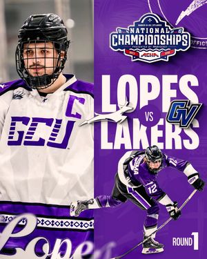 Image post by @lopeshockey on Instagram