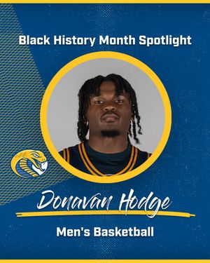 Image post by @cokercobras on Instagram