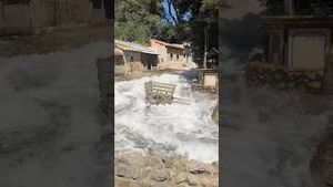 Video post by @cowmissing on YouTube