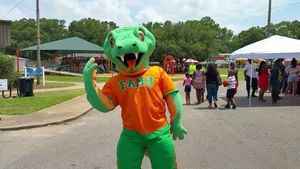 Video post by @famuathletics on Instagram