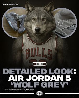 Image post by @insanesneaker on Instagram