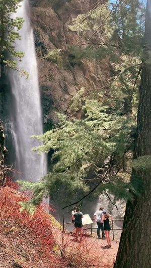 Video post by @filmbychloeg on TikTok