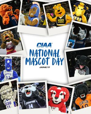 Image post by @ciaasports on Instagram