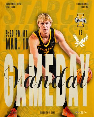 Image post by @vandalhoops on Instagram