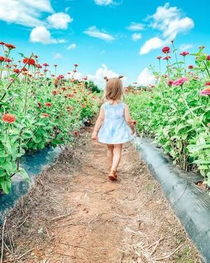 Image post by @southernbellefarm on Instagram