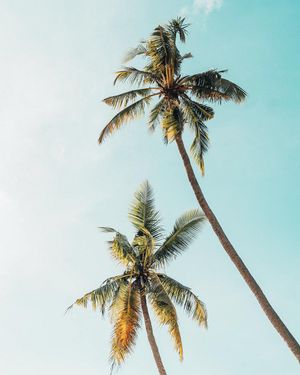 Image post by @unsplash on Instagram