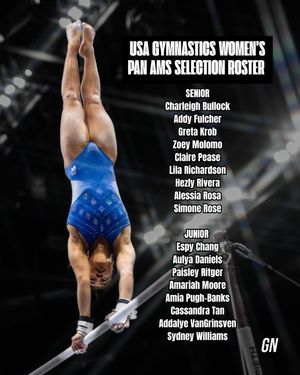 Image post by @gymnastics__now on Instagram