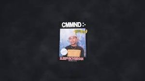 Video post by @cmmnd8848 on YouTube