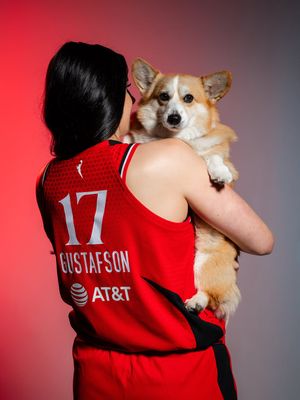 Image post by @portlandfirewnba on Instagram