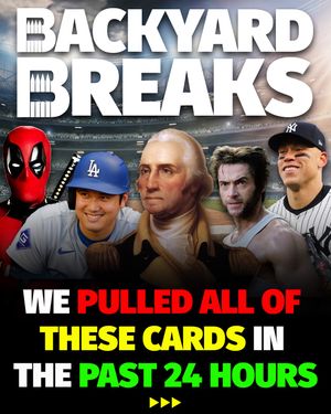 Image post by @backyardbreaks on Instagram